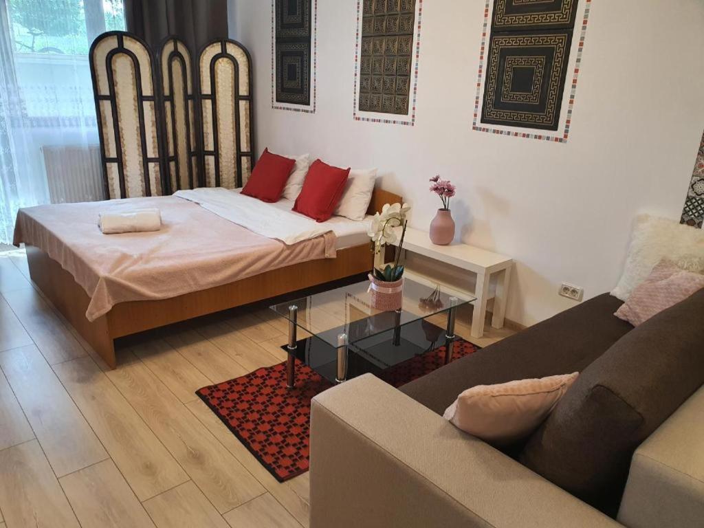 Appartement Fundeni - Garsoniere - Langa Spital à Bucarest Extérieur photo