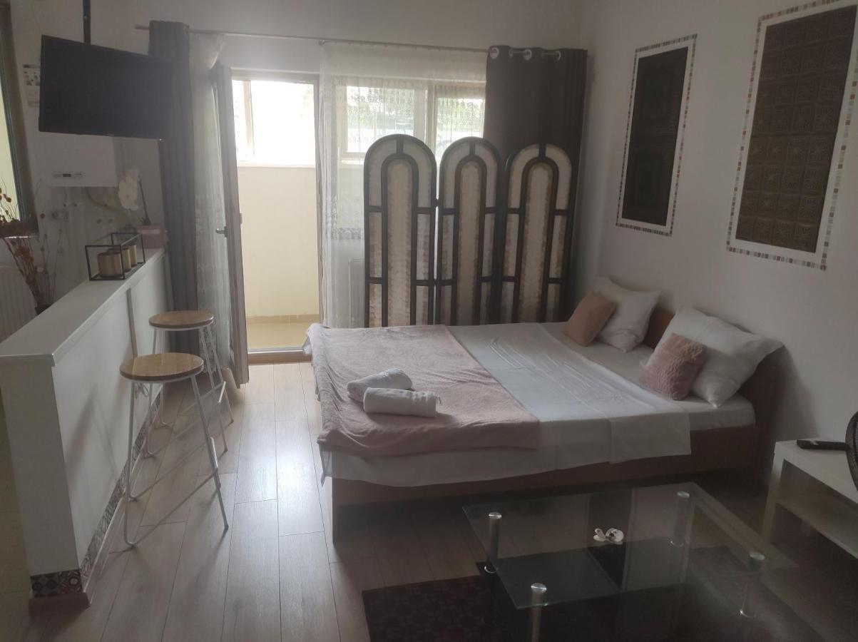 Appartement Fundeni - Garsoniere - Langa Spital à Bucarest Extérieur photo